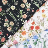 ���� �������˥å� ������ץ��� �ܥ��˥�����(2)