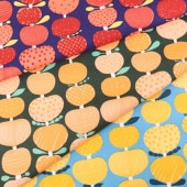 ���� Kippis���å��� �����