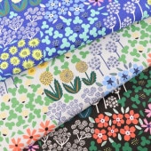 ���� kippis���å��� �����β���