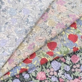 ���� ���㥷������ �����ץ��� DC22801