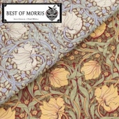  MODA BEST OF MORRIS ٥ȥ֥ꥹ  8365