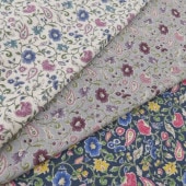 ���� ���㥷������ ��������֥顼 ���� DC25808-1