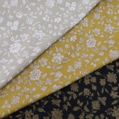 ���� ���������ץ��� ���� DR11580-1