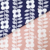 ���� ����ꥪ�ߥץ롼�� �֥����� �ե����ƥ��� DR61200