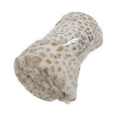  ˥ޥܥ ҥ祦 W 1måȥ (2025) 5605-A