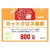 2025ɥ꡼ശպʡޡ åȥʡ