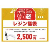 2025ɥ꡼ശպʡޡ 쥸ʡ