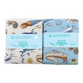  ʪå 2026  50cmåȥ DR2413C-5