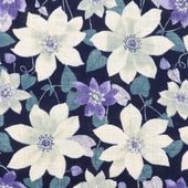 ���� ��ͥ�饤������� ����ޥ����� �ͥ��ӡ� 850558 1-5