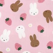 生地 2026 ディズニー BTS ベイマックス 総柄 オックス GR-1158-1A