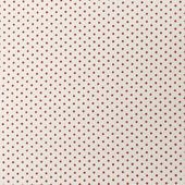 �����ò���ʬ������ �֥����ɿ�̥ץ��ȡʶ˾��� 1-1 ���աߥ�å� �ʳ�������ݥ�/�ݥ�����оݳ���