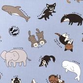 オックス・デニム・ツイル生地