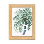 �����ѥ� �ɤ��夦���å� ���������ƥå� 12�����BONSAI �ޥ꡼�����ȥ꡼�̥��쥯����� 7�� ���Τ� 7618