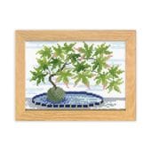 �����ѥ� �ɤ��夦���å� ���������ƥå� 12�����BONSAI �ޥ꡼�����ȥ꡼�̥��쥯����� 8�� ������ 7619