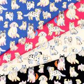 入園入学