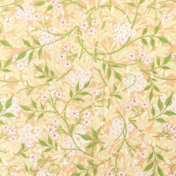 ジャスミンです 20 SEEDS Orange JASMINE rare flower exotic climber vine bush