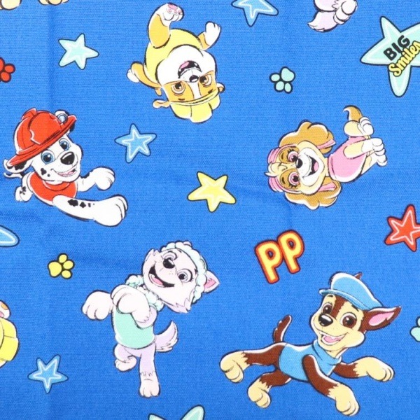 ���� �ѥ����ѥȥ����� ���å��� ��50cm���åȥ������� �֥롼 G-4622DC-1A