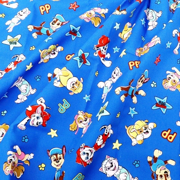 ���� �ѥ����ѥȥ����� ���å��� ��50cm���åȥ������� �֥롼 G-4622DC-1A