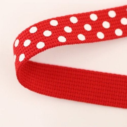 �ɥåȥơ��� 25mm����50cmñ�̡�