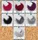 iroiro��wool����������������