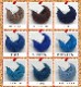 iroiro��wool����������������