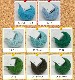 iroiro��wool����������������