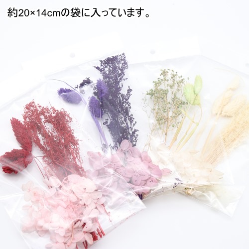 ドライフラワー３種アジサイセット 手芸センタードリーム通販ネットショップ