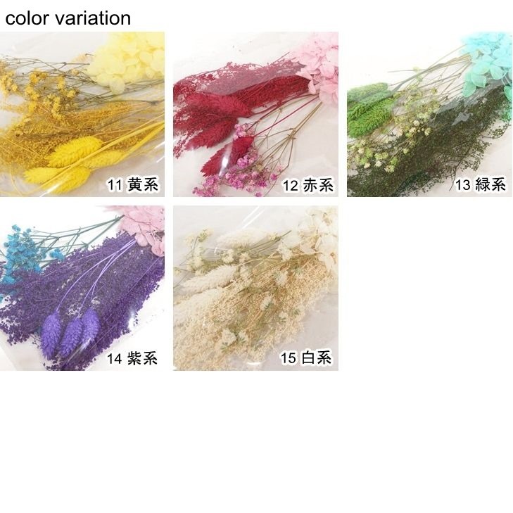 ドライフラワー４種セット 手芸センタードリーム通販ネットショップ