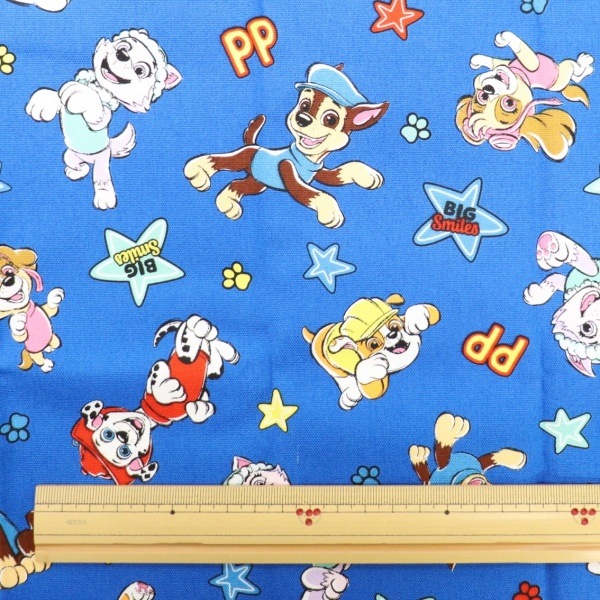 ���� �ѥ����ѥȥ����� ���å��� ���� �֥롼 G-4622D-1A