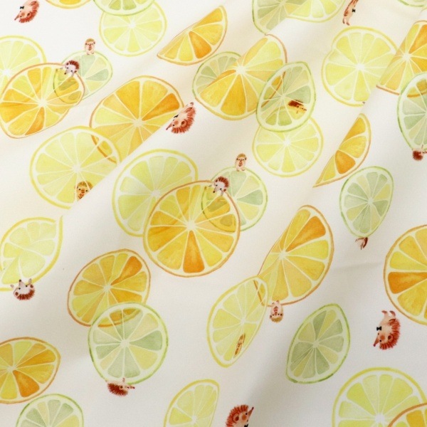 ���� �����Ǥ椫���ե��֥�å� ��1m���åȥ������� Citrus�� DRCR-02