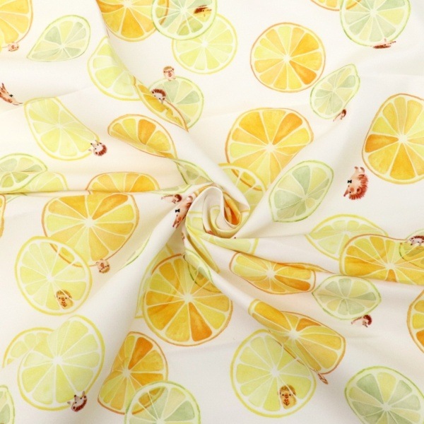 ���� �����Ǥ椫���ե��֥�å� ��1m���åȥ������� Citrus�� DRCR-02