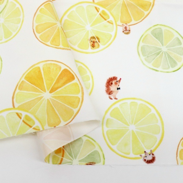 ���� �����Ǥ椫���ե��֥�å� ��1m���åȥ������� Citrus�� DRCR-02