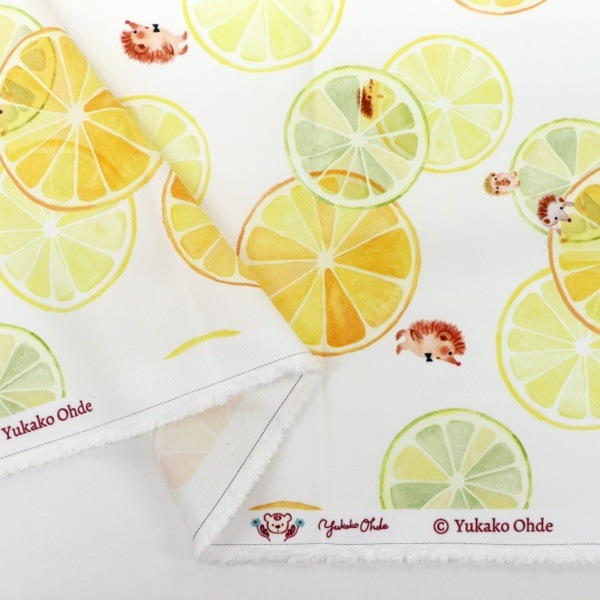 ���� �����Ǥ椫���ե��֥�å� ��1m���åȥ������� Citrus�� DRCR-02