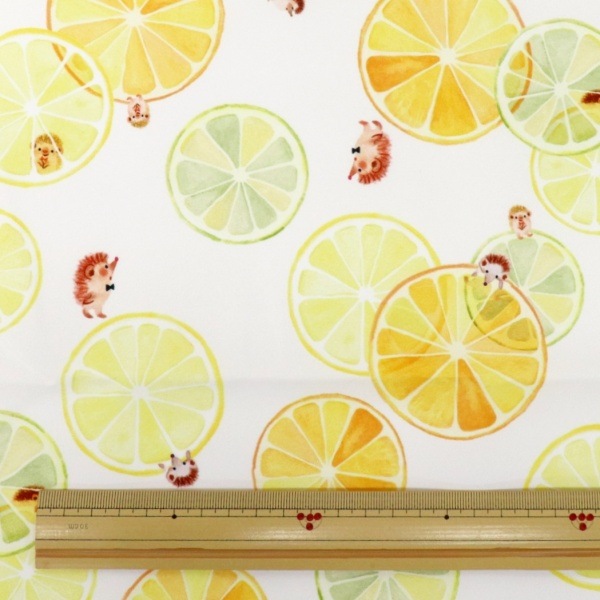 ���� �����Ǥ椫���ե��֥�å� ��1m���åȥ������� Citrus�� DRCR-02