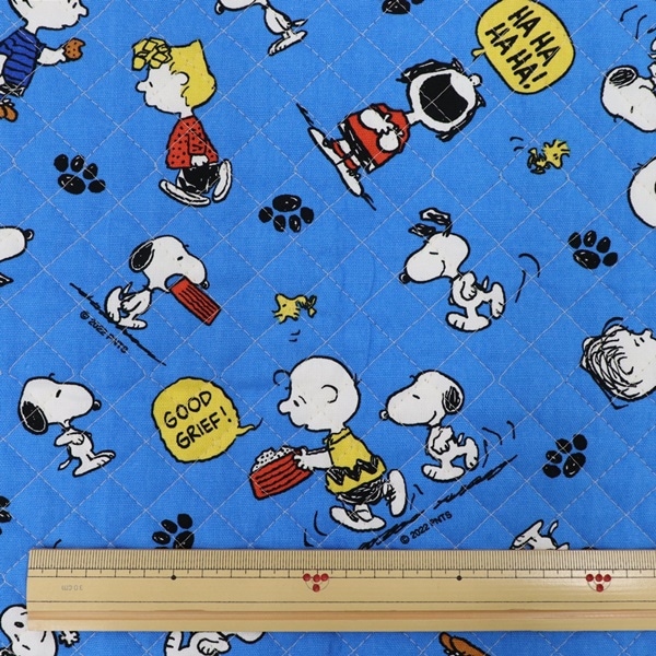  ̡ԡ å ڥȡۥѥѥå DRM80636180637850cmåȥ