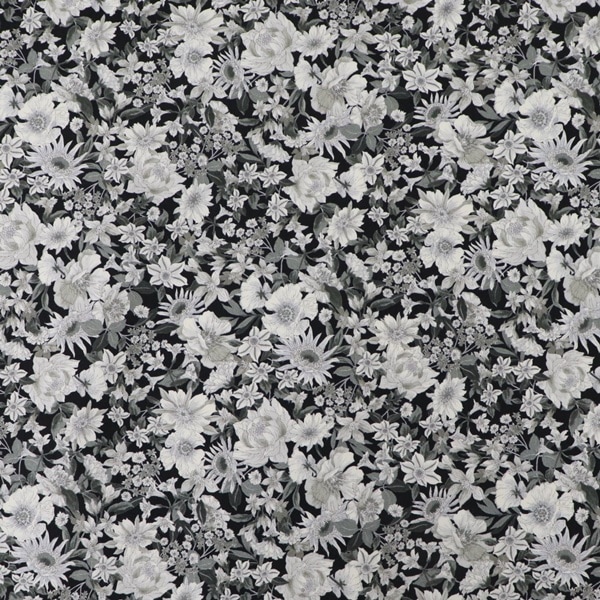 ���� �֥����ɥץ��� ���� 4217