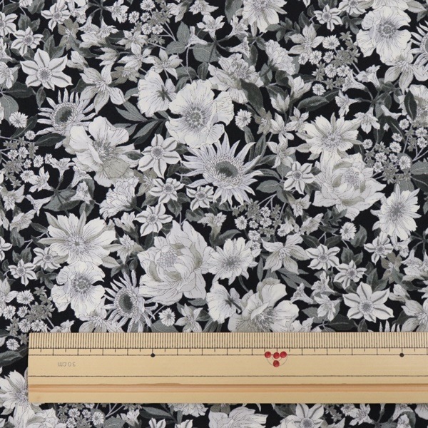 ���� �֥����ɥץ��� ���� 4217