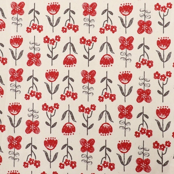 ���� ���å����ץ��� ���� ��50cm���åȥ������� DR2309C-4