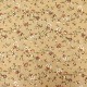 ���� Chintz �ֹ��ӣ� �ʥ���ѥ�����