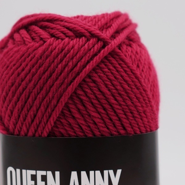 P. willinckii Anne アニー　年末セール　子株　早い者勝ち パピー クイーンアニー | 手芸センタードリーム公式通販サイト