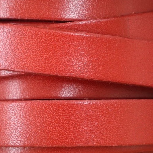 �̥�ץơ��� 12mm����50cmñ�̡�