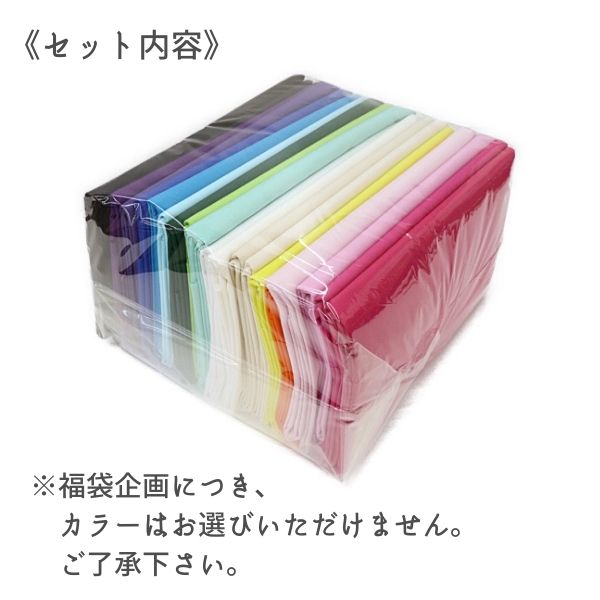 ブルマァクショップ　ジャイアントドラコ　福袋品　新品袋なし ブルマァクショップジャイアントドラコ福袋品新品袋なし