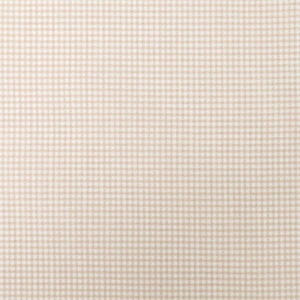 ���� �ߥ˥��󥬥�����å��ץ��� (1.5mm���󥬥�) 1173-1