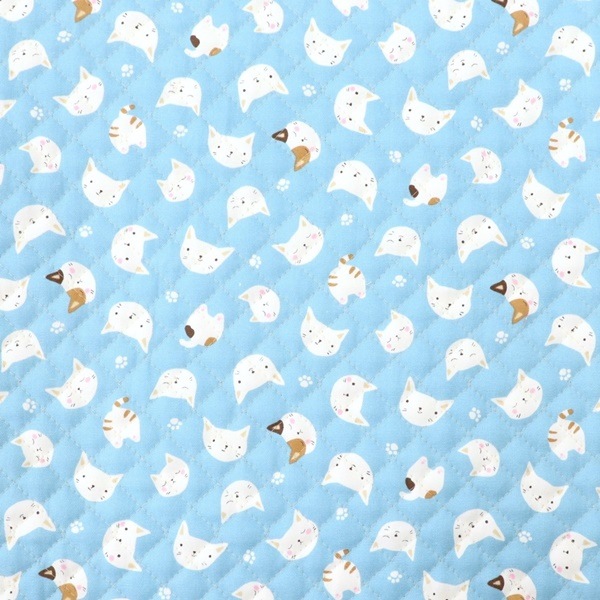 ���� ���å����ץ��� �ڥ���ȡ� �ͥ��� ��50cm���åȥ������� DR2309QC-3