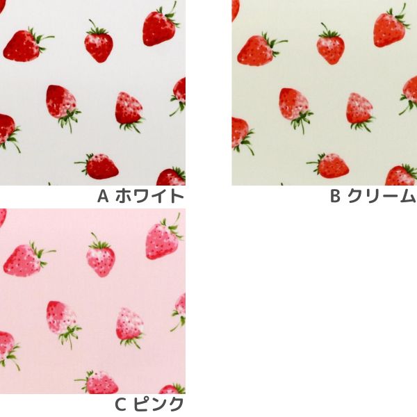 ���� ���������å��� DR2415