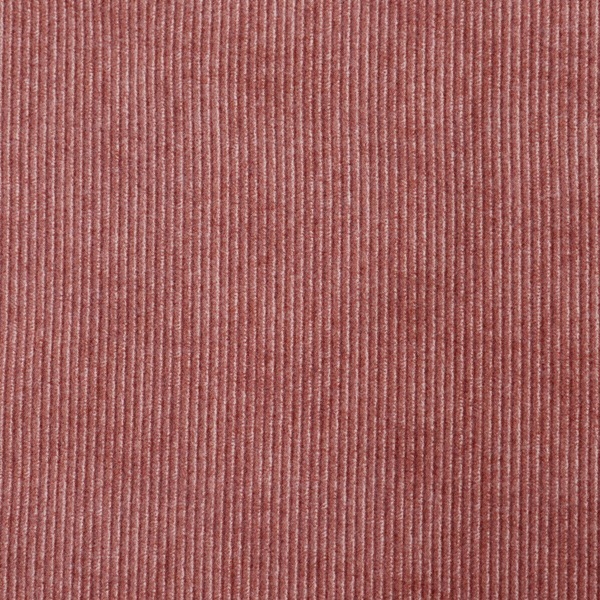 �����ò���ʬ������ �������󥰵��ӥץ��� �����ǥ������ 2021���ʳ�������ݥ�/�ݥ�����оݳ���