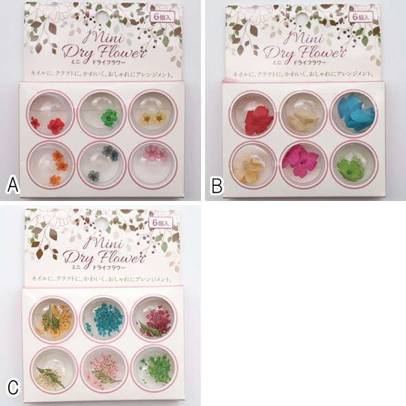 2_000000003231.jpg?1678209905