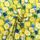 ���� KOTORITACHI(��Ļ����) ���å����ץ��� �֤δ֤Υ����������� ��50cm���åȥ�������