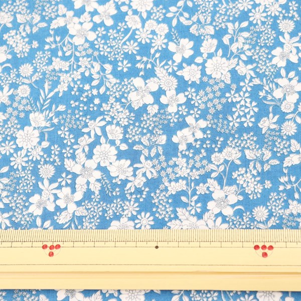 �����ʬ�ò������� Flownny2 60������ץ��� ����(15)