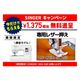 ��SSX-500��SINGER ���󥬡� ����ԥ塼�����ߥ���ڥեåȥ���ȥ����顼�ա�  �ϥåԡ�����ѥ�ڥߥ����Ͱ��������ݥ󳫺���ۡ�10,000��OFF�ۥ����ݥ󥳡��ɡ�H7C4L��